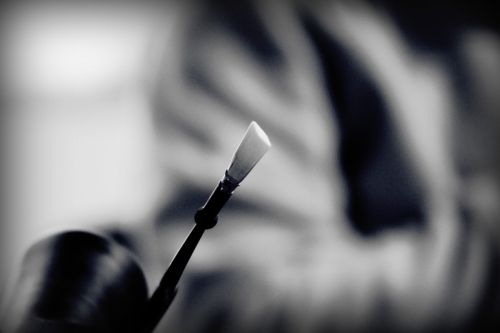 Fotografia de Pablo F. Jurez - Galeria Fotografica: Pro victoria 400 - Foto: 