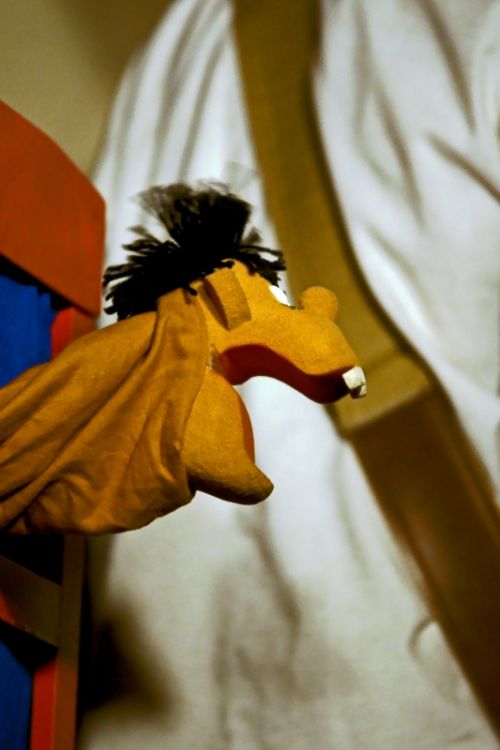 Fotografia de Pablo F. Jurez - Galeria Fotografica: Conciertos - Foto: 