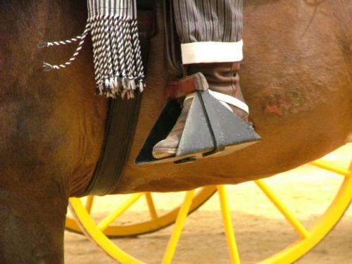 Fotografia de Fotogades - Galeria Fotografica: Feria de Jerez 2006 - Foto: Haciendo pie