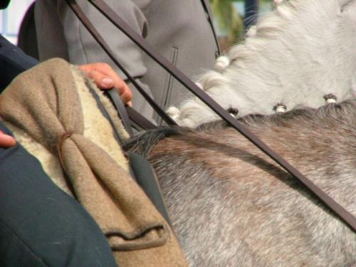 Fotografia de Fotogades - Galeria Fotografica: Feria de Jerez 2006 - Foto: Control