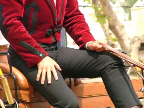 Fotografia de Fotogades - Galeria Fotografica: Feria de Jerez 2006 - Foto: Tipito