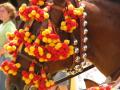 Fotos de Fotogades -  Foto: Feria de Jerez 2006 - Spain is romping