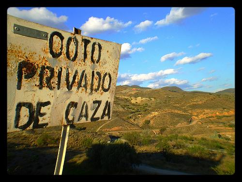 Fotografia de RoSpiraL - Galeria Fotografica: Andalucia - Foto: Confidencial