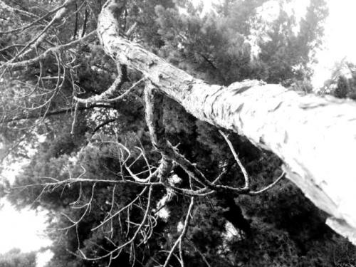 Fotografia de ktiusk - Galeria Fotografica: ConTrasTes - Foto: 