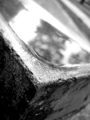 Fotografia de ktiusk - Galeria Fotografica: ConTrasTes - Foto: 