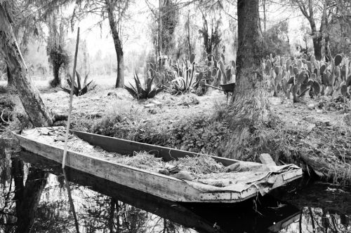 Fotografia de Edgar Contreras - Galeria Fotografica: xochimilco - Foto: 