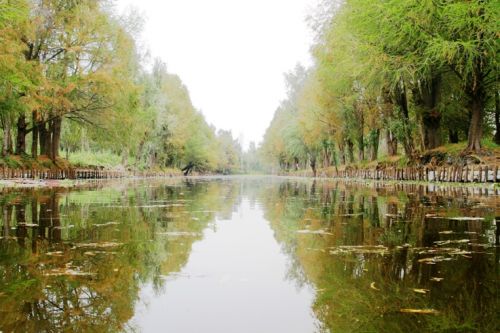 Fotografia de Edgar Contreras - Galeria Fotografica: xochimilco - Foto: 