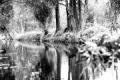 Fotos de Edgar Contreras -  Foto: xochimilco - 