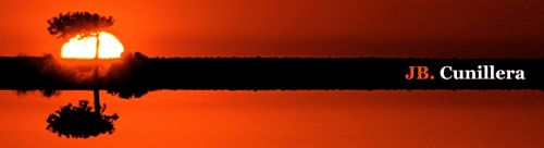 Fotografia de JB.Cunillera - Galeria Fotografica: Animal - Foto: 