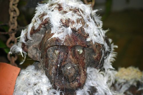 Fotografia de Albert Farnos - Galeria Fotografica: Etnografcios Afro_Brasil - Foto: 