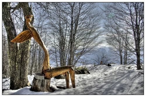 Fotografia de carlos mir  - Galeria Fotografica: artisticas - Foto: 