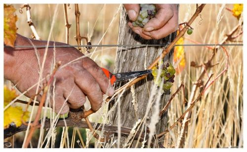 Fotografia de carlos mir  - Galeria Fotografica: artisticas - Foto: 