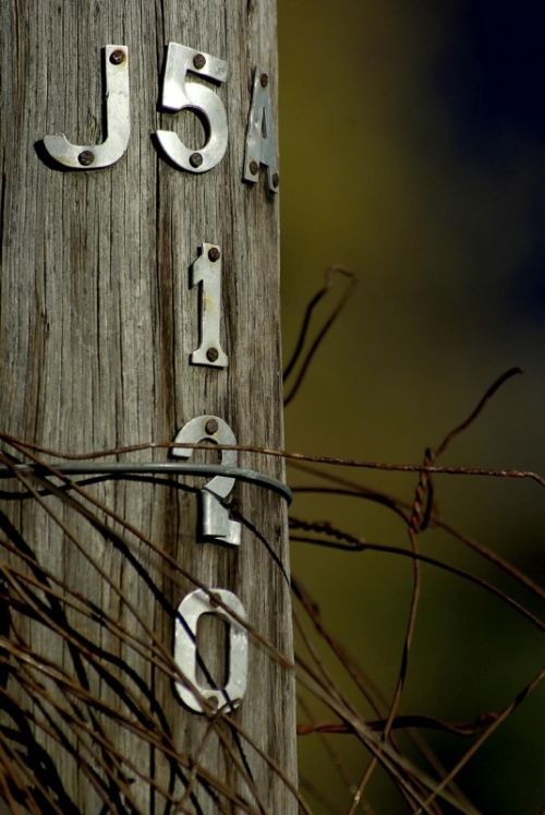 Fotografia de carlos mir  - Galeria Fotografica: artisticas - Foto: 