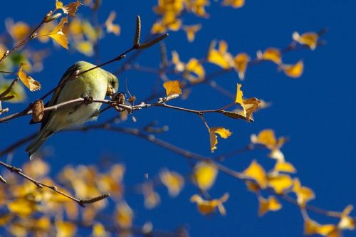 Fotografia de carlos mir  - Galeria Fotografica: artisticas - Foto: 