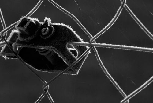 Fotografia de carlos mir  - Galeria Fotografica: artisticas - Foto: 