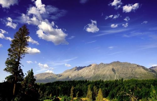 Fotografia de carlos mir  - Galeria Fotografica: artisticas - Foto: 