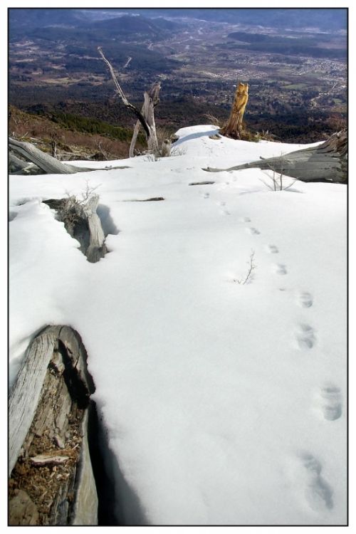 Fotografia de carlos mir  - Galeria Fotografica: artisticas - Foto: 