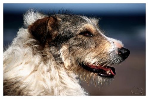 Fotografia de carlos mir  - Galeria Fotografica: artisticas - Foto: 