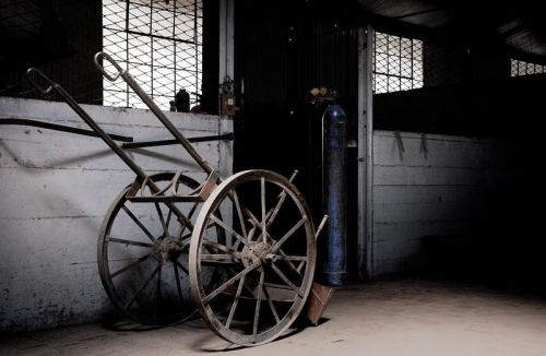 Fotografia de carlos mir  - Galeria Fotografica: artisticas - Foto: 