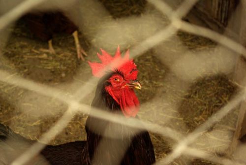 Fotografia de carlos mir  - Galeria Fotografica: artisticas - Foto: 