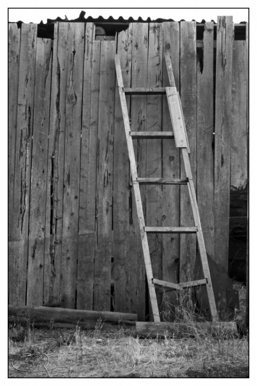 Fotografia de carlos mir  - Galeria Fotografica: artisticas - Foto: 