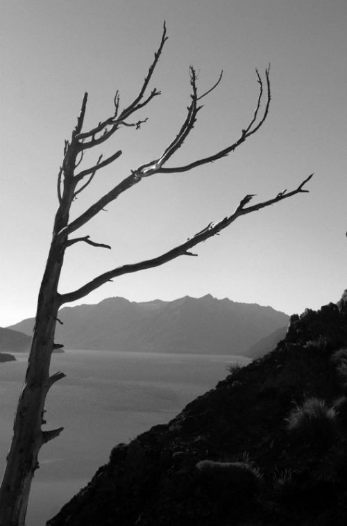 Fotografia de carlos mir  - Galeria Fotografica: artisticas - Foto: 