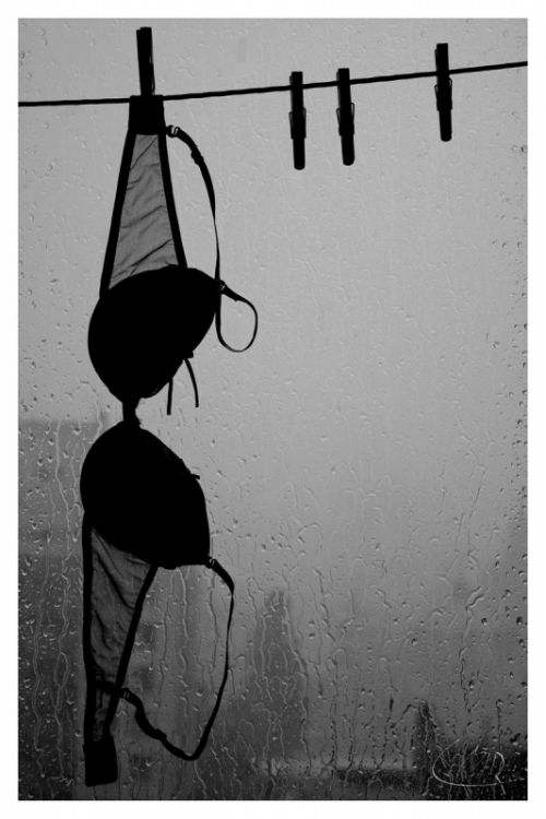 Fotografia de carlos mir  - Galeria Fotografica: artisticas - Foto: 