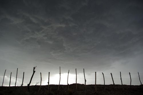 Fotografia de carlos mir  - Galeria Fotografica: artisticas - Foto: 