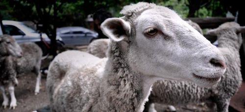 Fotografia de carlos mir  - Galeria Fotografica: artisticas - Foto: 