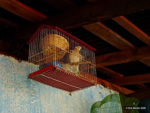 Fotografia de Erik Murillo - Galeria Fotografica: De todo un poco - Foto: Tu carcel