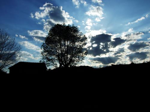 Fotografia de suchay - Galeria Fotografica: COMIENZO - Foto: Contraluz