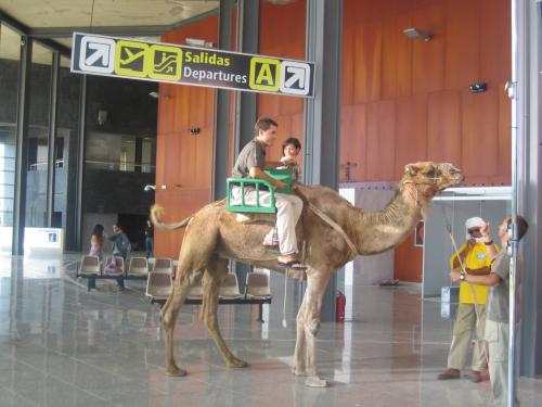 Fotografia de IsabelGarcia - Galeria Fotografica: mis trabajos - Foto: Publicidad