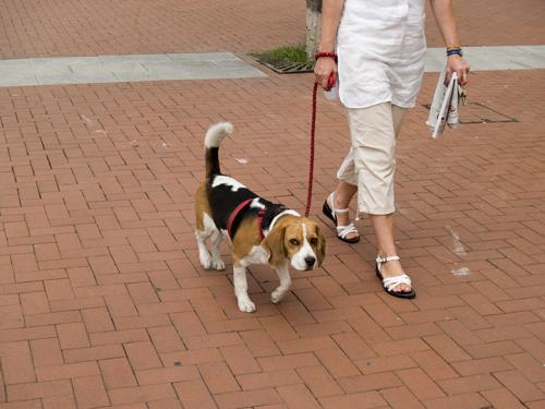 Fotografia de Joseam - Galeria Fotografica: La ciudad palpita - Foto: Cruce de miradas