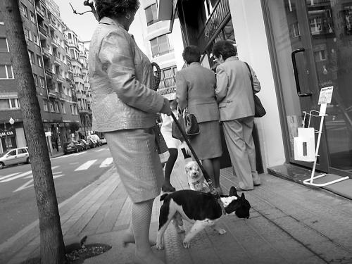 Fotografia de Joseam - Galeria Fotografica: La ciudad palpita - Foto: Encuentro rabioso