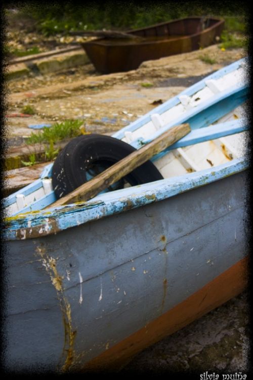 Fotografia de geneva - Galeria Fotografica: Remexendo no pasado - Foto: 