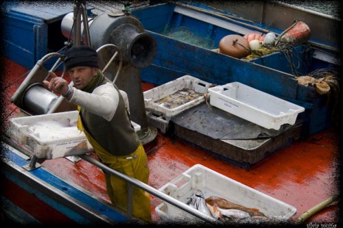 Fotografia de geneva - Galeria Fotografica: Remexendo no pasado - Foto: 