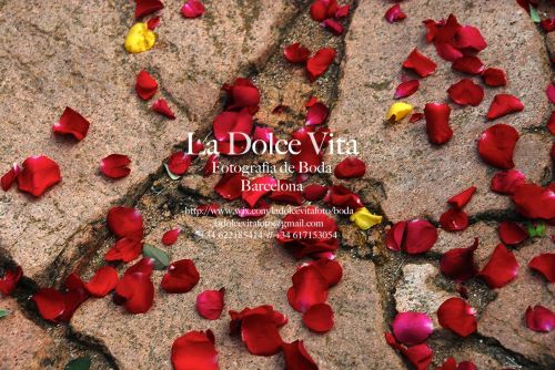 Fotografia de La Dolce Vita Fotografa de Boda Barcelona - Galeria Fotografica: La Dolce Vita Fotografa - Foto: 