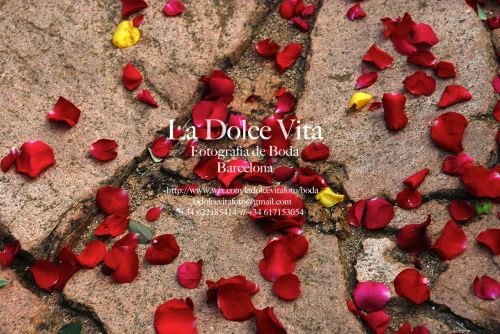 Fotografia de La Dolce Vita Fotograf�a de Boda Barcelona - Galeria Fotografica: La Dolce Vita Fotograf�a - Foto: 