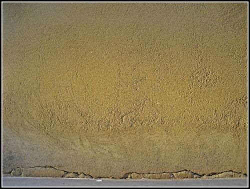 Fotografia de carlos herrera - Galeria Fotografica: 1 - Foto: 