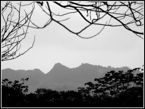 Fotografia de carlos herrera - Galeria Fotografica: 1 - Foto: 