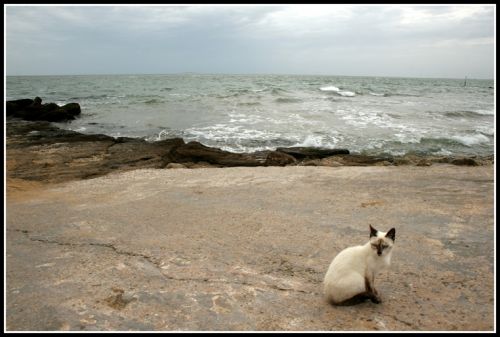 Fotografia de carlos herrera - Galeria Fotografica: 1 - Foto: 