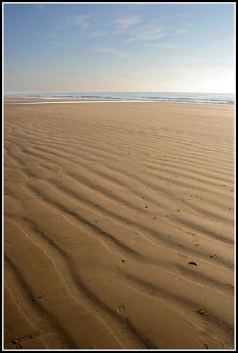 Fotografia de carlos herrera - Galeria Fotografica: 1 - Foto: 