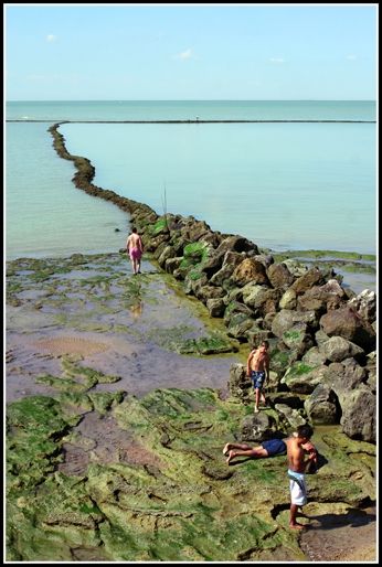 Fotografia de carlos herrera - Galeria Fotografica: 1 - Foto: 