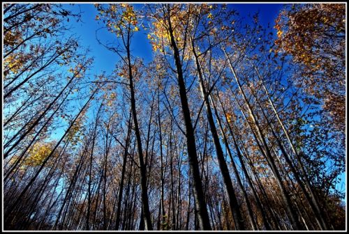 Fotografia de carlos herrera - Galeria Fotografica: 1 - Foto: 