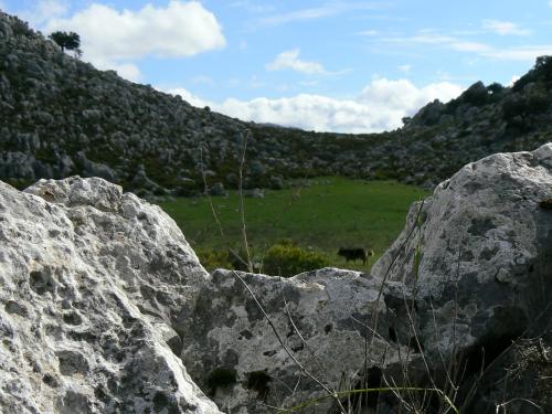 Fotografia de Guillermo Bernal - Galeria Fotografica: Luz y Senderos I - Foto: Muros de Roca
