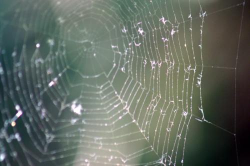 Fotografia de MaTrIxX - Galeria Fotografica: Variado - Foto: Tela