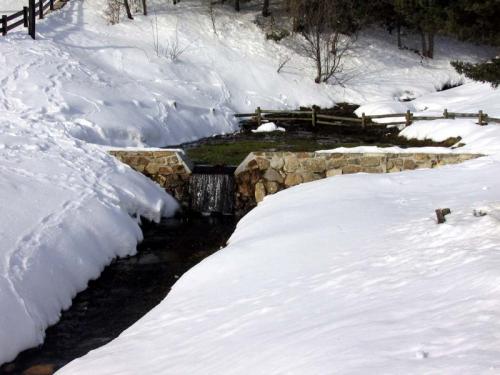 Fotografia de MaTrIxX - Galeria Fotografica: Variado - Foto: Cotos