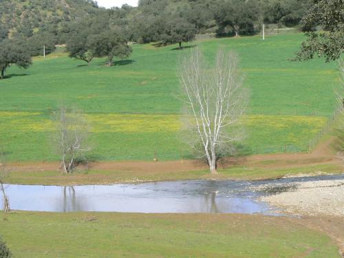 Fotografia de Guillermo Bernal - Galeria Fotografica: Luz y Senderos I - Foto: Estratos
