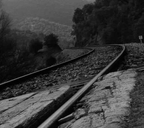 Fotografia de Guillermo Bernal - Galeria Fotografica: Varias - Foto: Sin destino