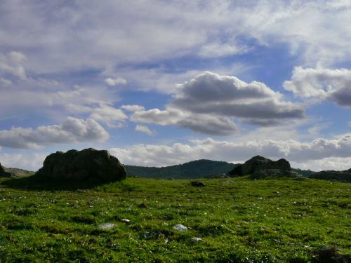 Fotografia de Guillermo Bernal - Galeria Fotografica: Varias - Foto: Prado
